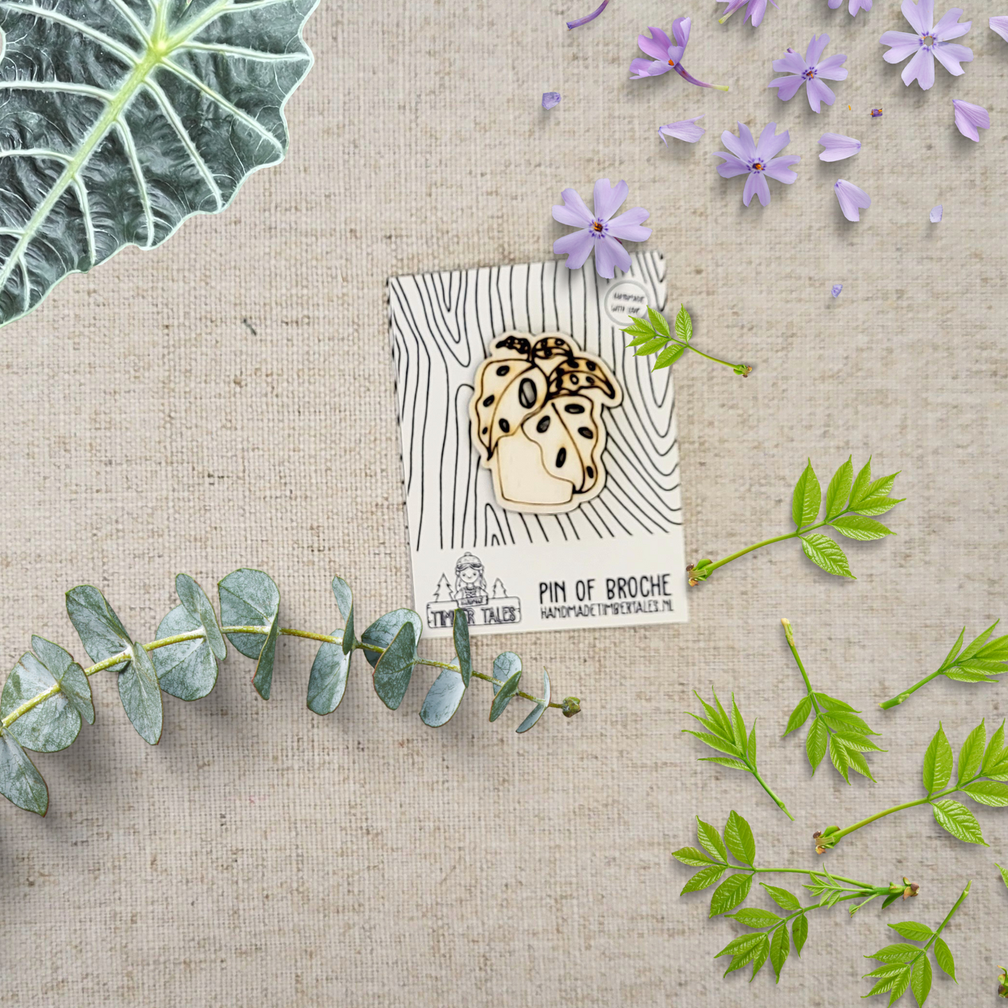 Natuur Pin: Monstera Plant