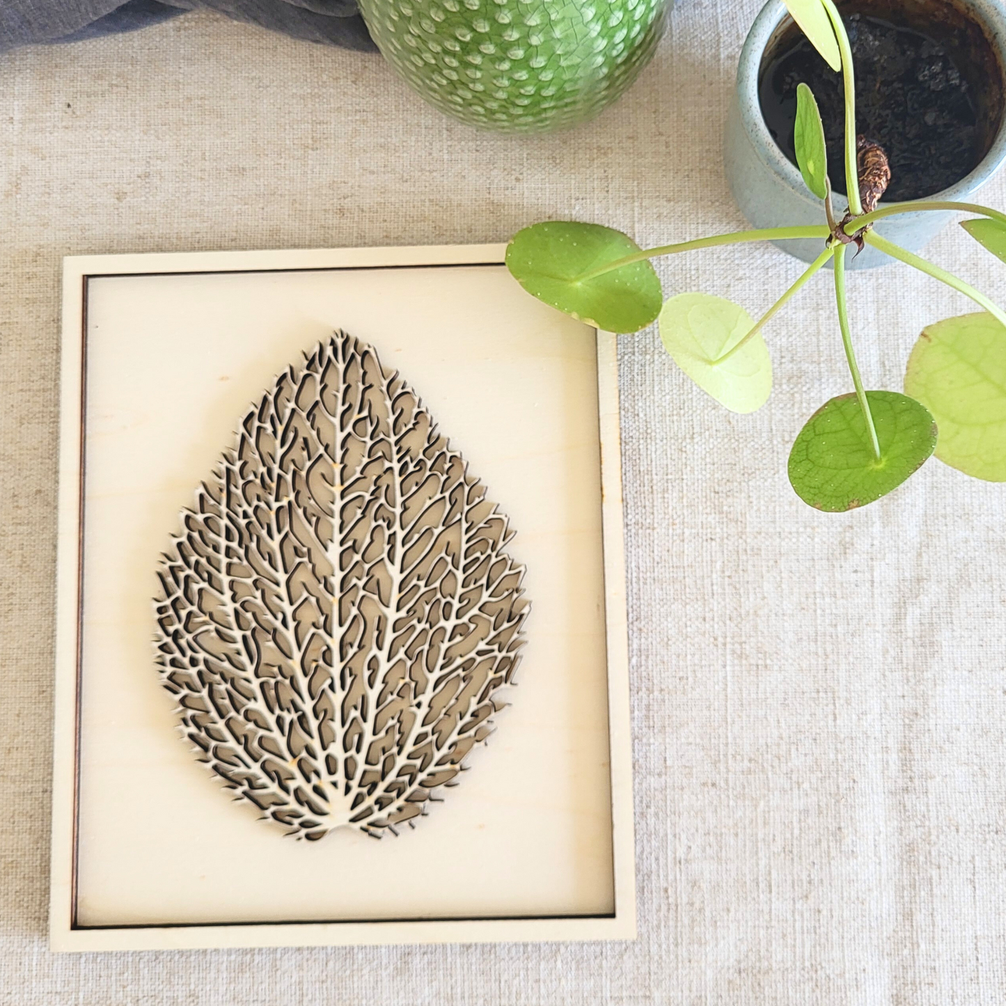 Gedroogde Blad in Lijst van Hout.