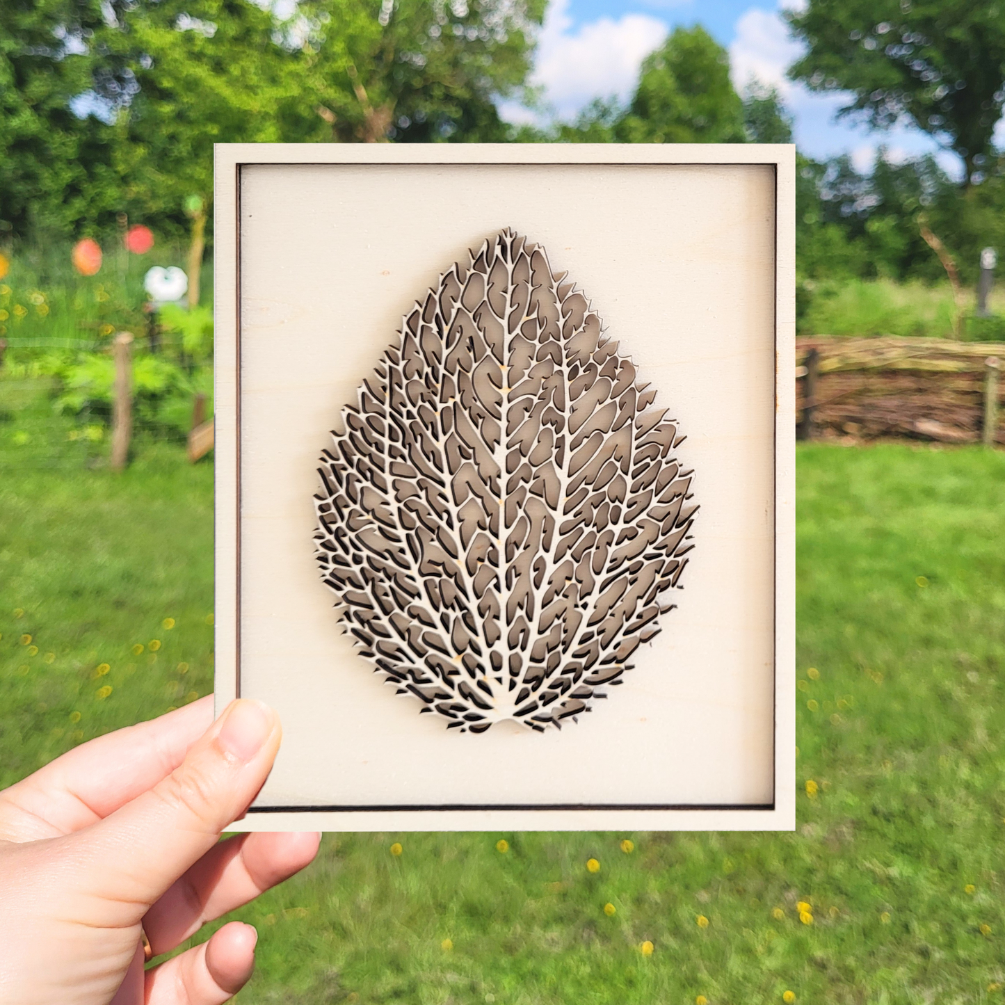 Gedroogde Blad in Lijst van Hout.