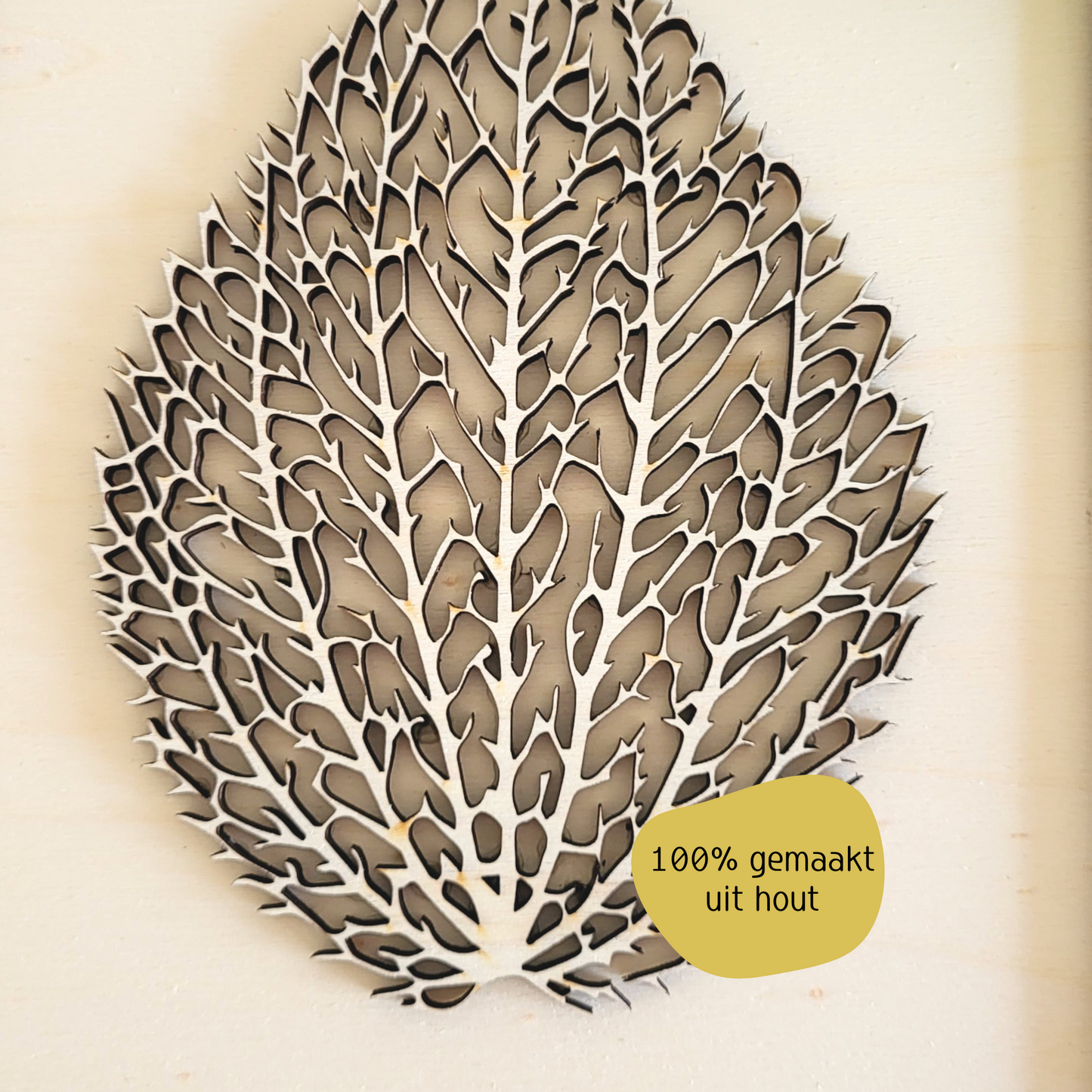 Gedroogde Blad in Lijst van Hout.