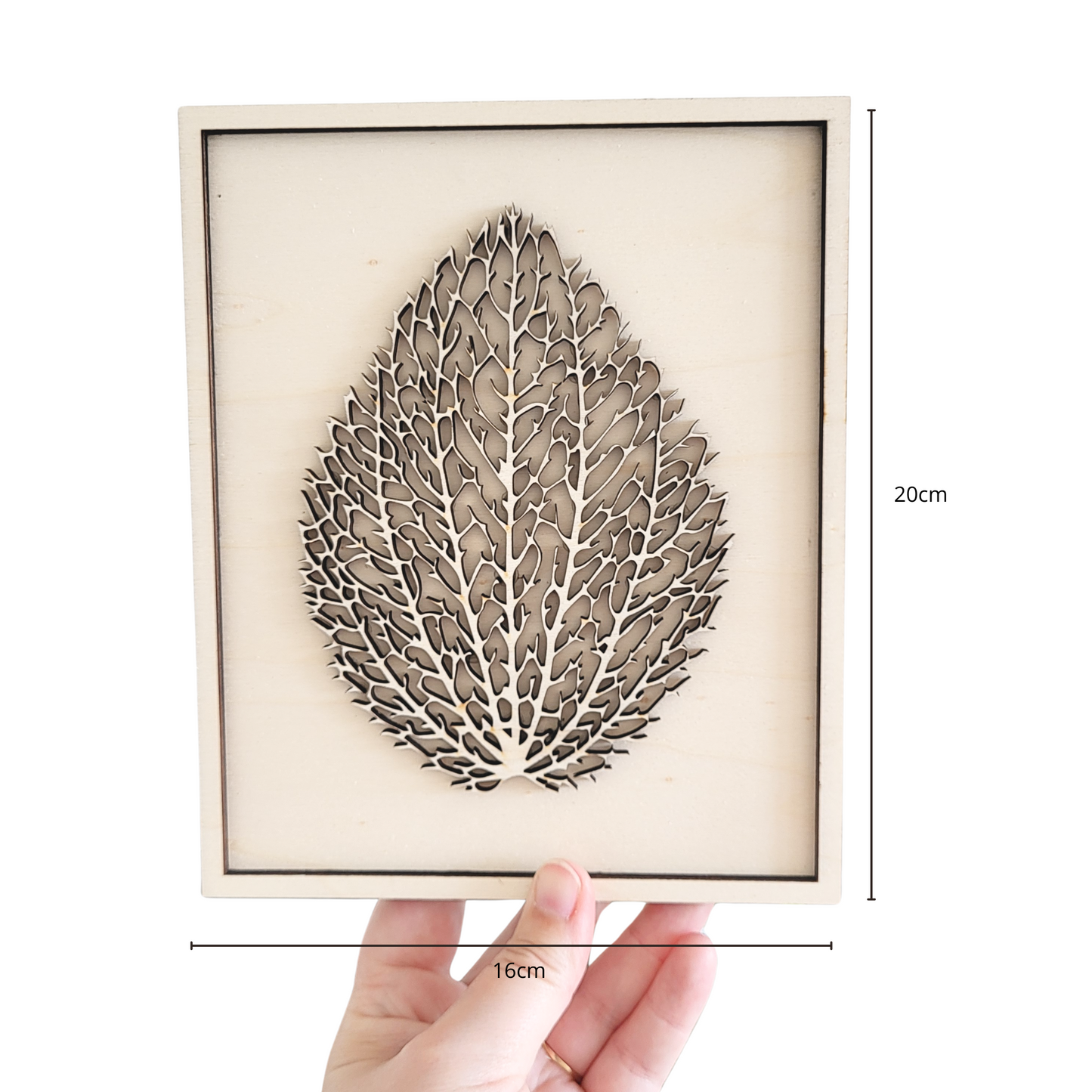 Gedroogde Blad in Lijst van Hout.