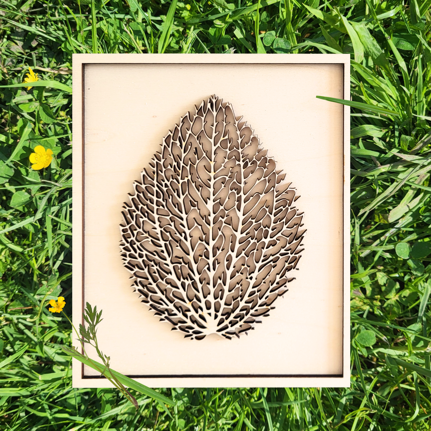 Gedroogde Blad in Lijst van Hout.