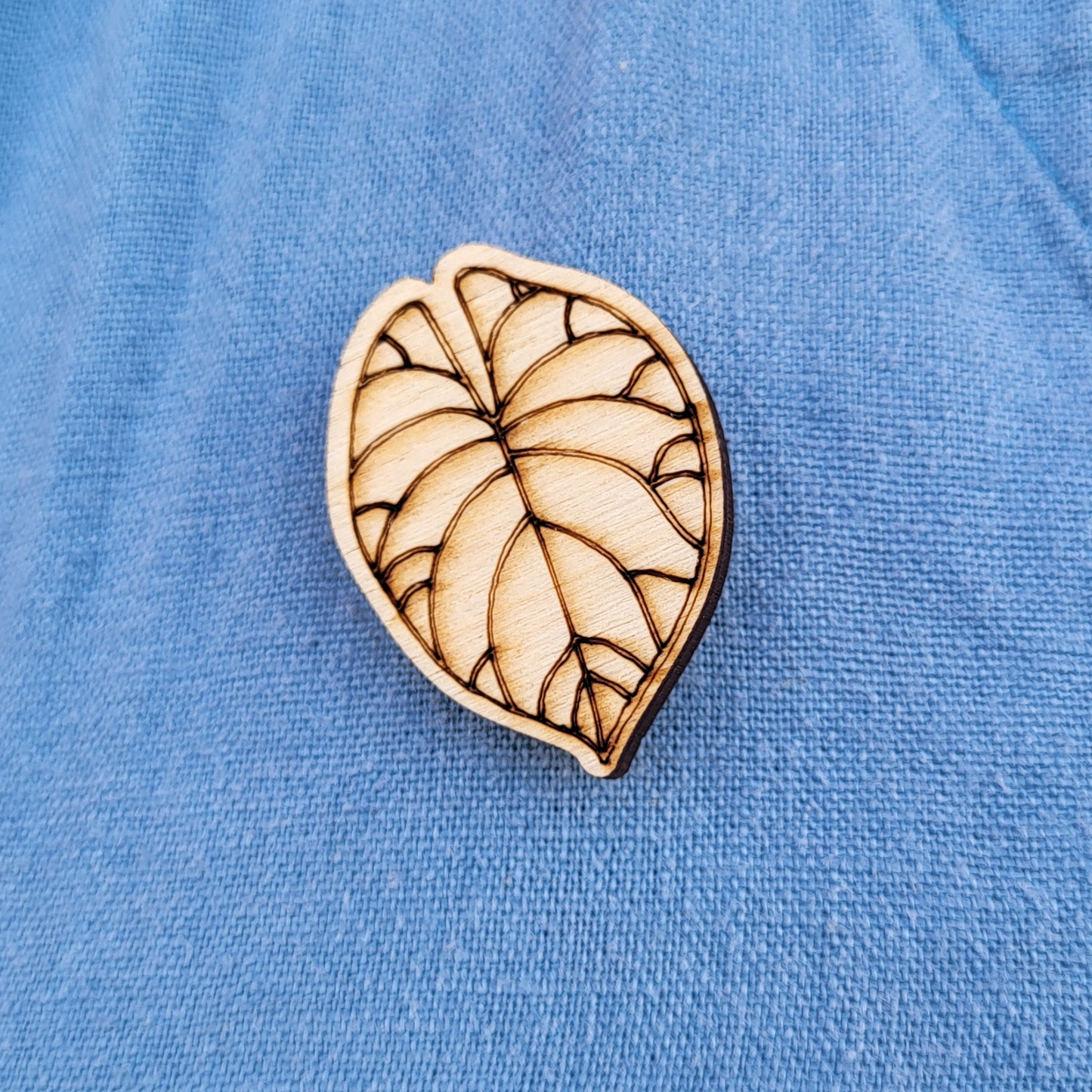 Natuur Pin: Blad Anthurium Clarinervium