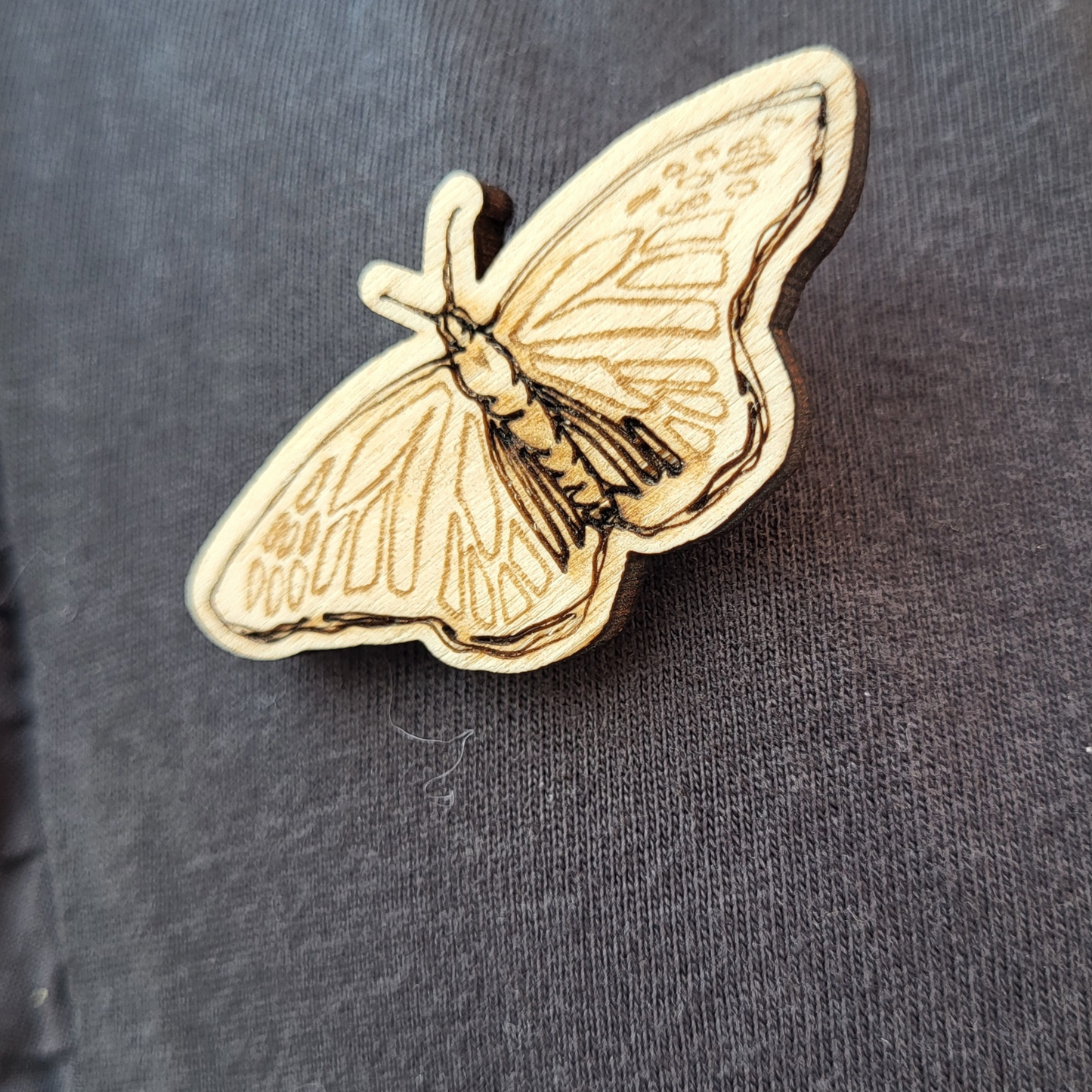 Insecten Pin: Vlinder
