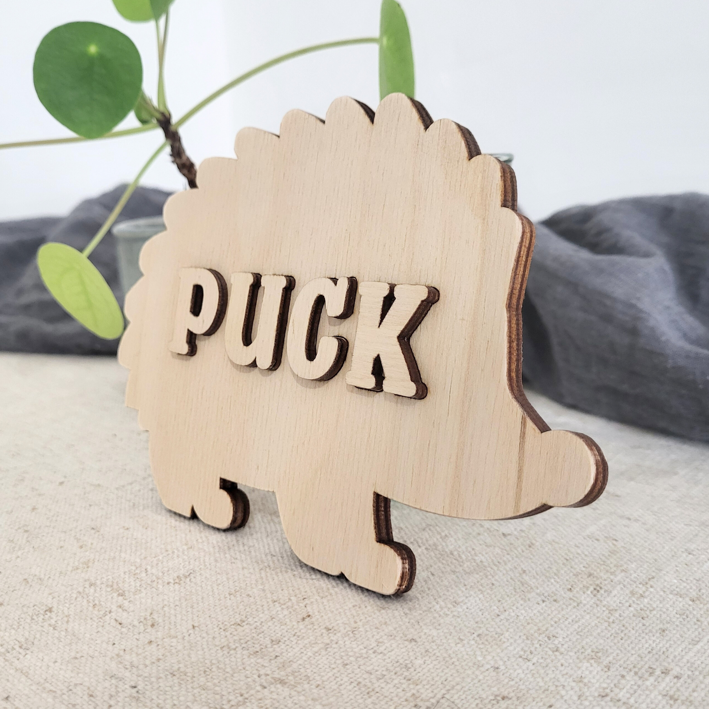 Naampuzzel Egel (met gepersonaliseerde naam)