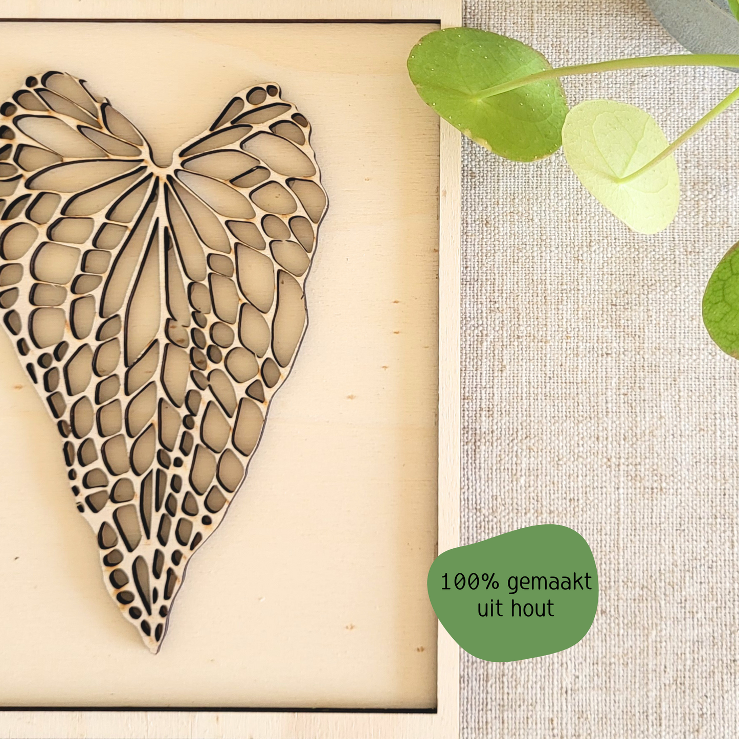 Caladium Blad in Lijst van Hout.