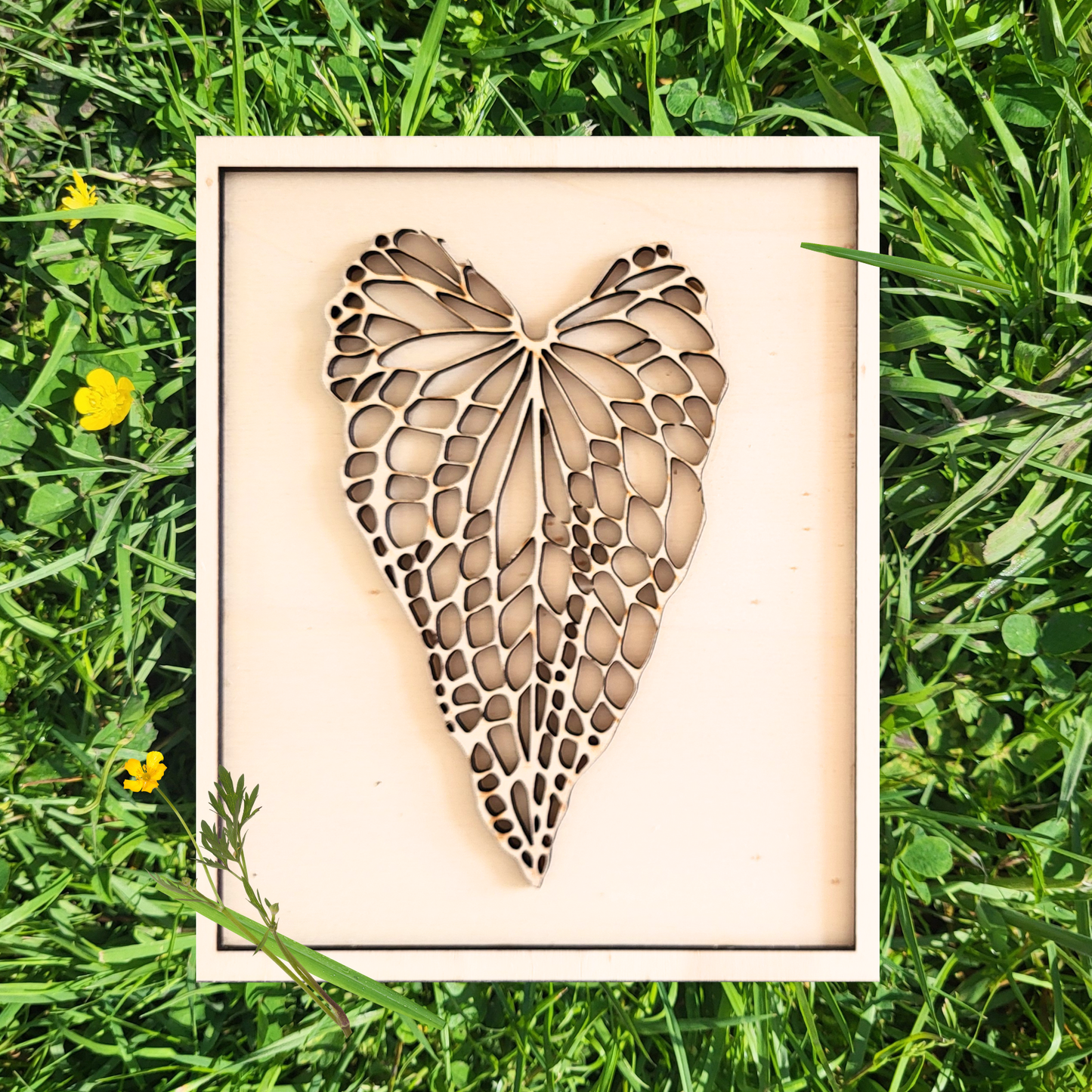 Caladium Blad in Lijst van Hout.