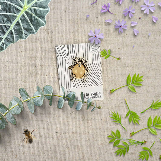 Insecten Pin: Lieveheersbeestje